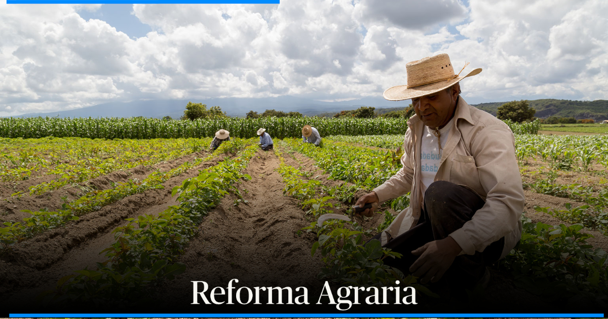 Estas Son Las 13 Líneas De Trabajo Complementarias A La Reforma Agraria De Minagricultura El 6421